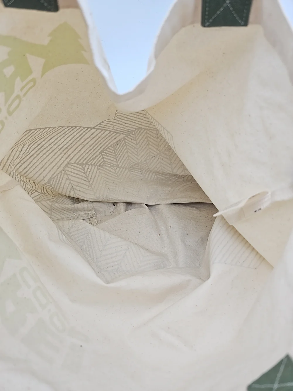 REI Cream Tote with Green Straps and Lime Logo - Picture 4 of 7